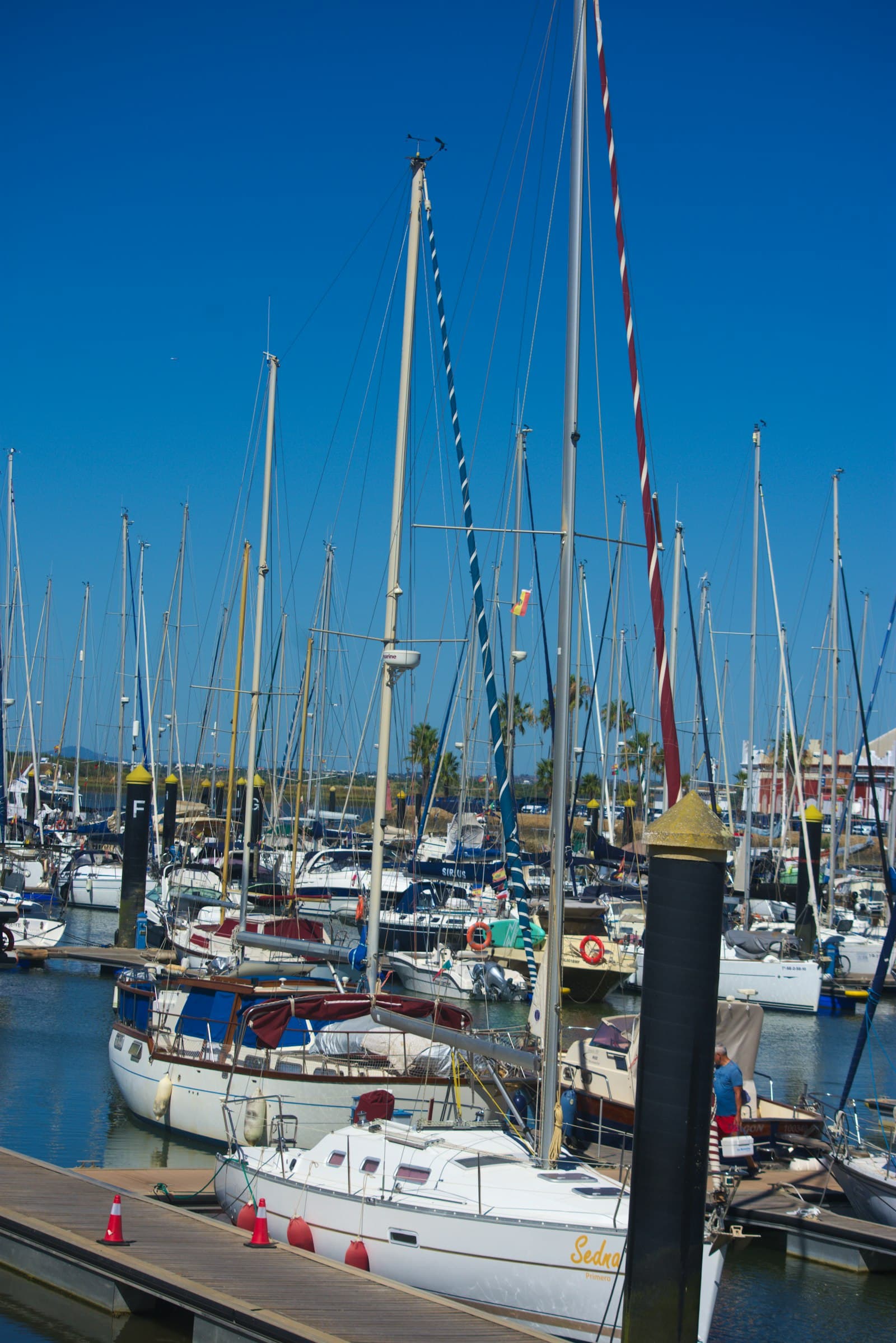 Marina con veleros amarrados